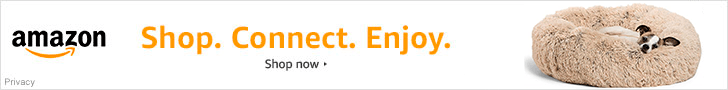 Amazon Affiliates 728×90