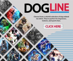 ShareASale Dogline 300×250
