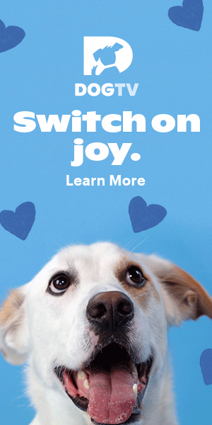 ShareASale DOGTV 300×600