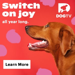 ShareASale DOGTV 300×300