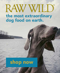 ShareASale Raw Wild 250×300